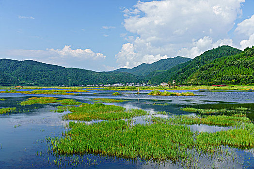 腾冲北海湿地保护区