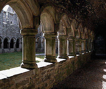 教堂,爱尔兰,15世纪,圣芳济修会