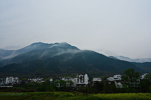 江南雾里乡村