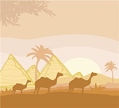 骆驼,房车,非洲野地,风景,插画