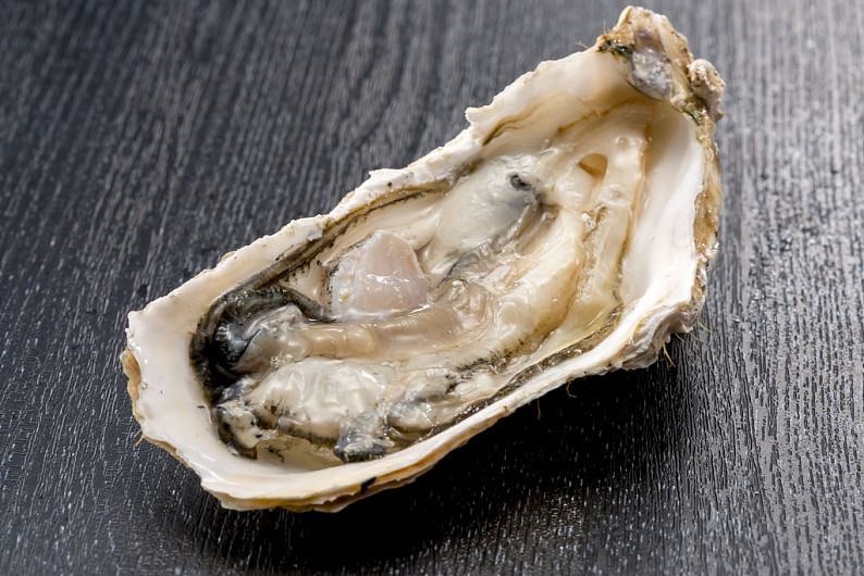 牡蛎图片_牡蛎高清图片_全景视觉