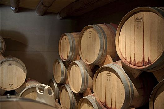 葡萄酒桶,地窖,智利