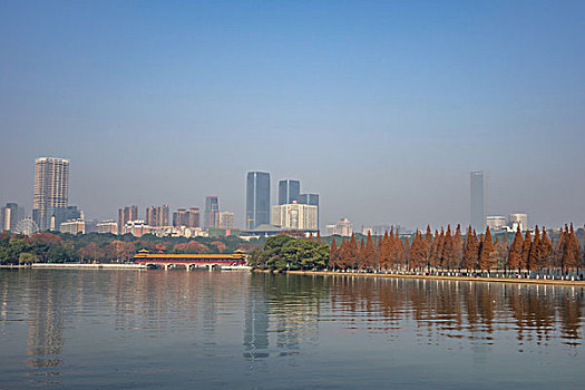 冬景,湖光冬色,水杉