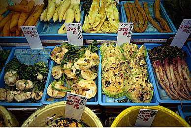朝鲜泡菜图片