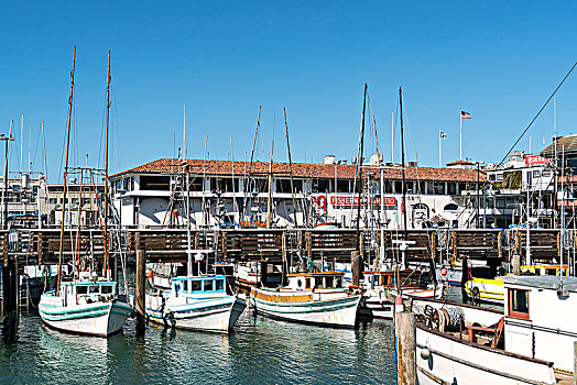 旧金山,港口,渔人码头