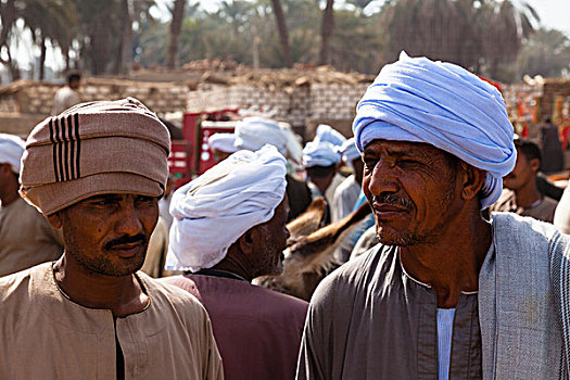 农民,市场,靠近,阿斯旺,埃及