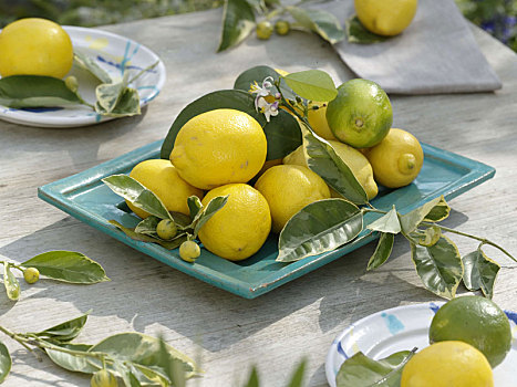 柠檬,桌饰