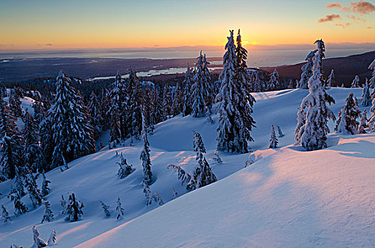 冬天,日落,省立公园,北温哥华,不列颠哥伦比亚省,加拿大