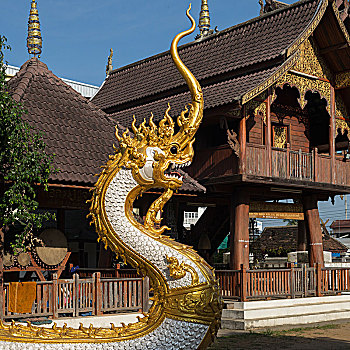龙,雕塑,庙宇,清莱,泰国