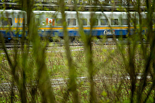 魁北克,蒙特利尔,列车,风景,后面,树