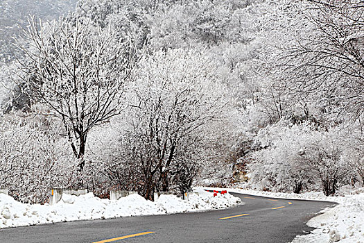 陕西秦岭沣峪公路雪景