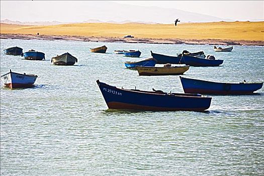船,锚定,海中,帕拉卡斯国家保护区,帕拉加斯,伊卡地区,秘鲁