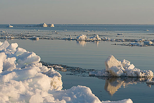 楚科奇海,岸边,手推车,阿拉斯加,景色,风景,边缘,浮冰