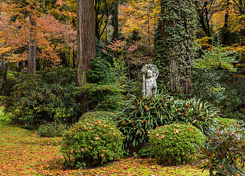 秋天,日式庭园