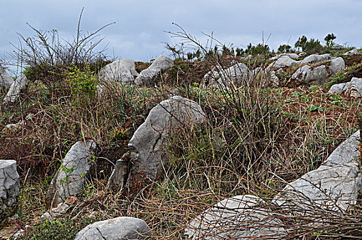 山野小石林景观