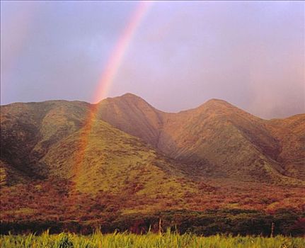彩虹,毛伊岛,岛屿,夏威夷