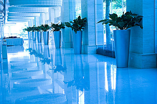 蓝色色调,长,酒店,走廊,盆栽,窗户