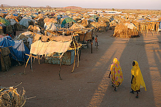女人,走,露营,人,近郊,林羚,南方,达尔富尔,苏丹,提示,离开