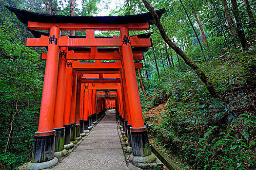 日本,京都,大门,神社,画廊