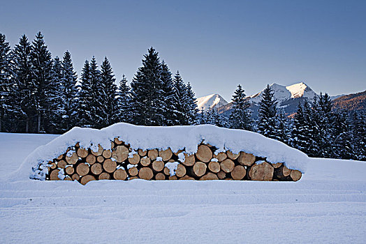 堆,木头,正面,山,冬季风景,靠近,米滕瓦尔德,巴伐利亚,德国