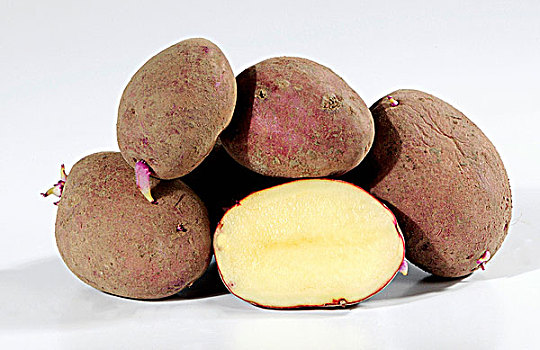 土豆,品种,芽,平分