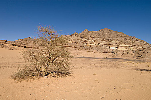 阿卡库斯,撒哈拉沙漠,费赞,利比亚