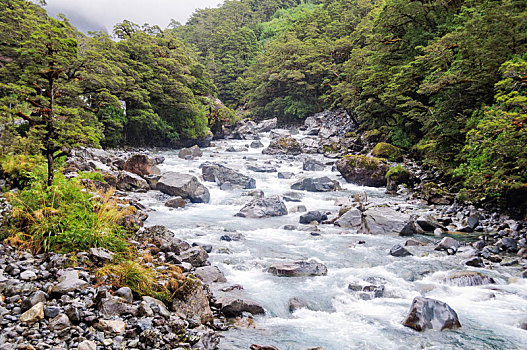 溪流,峡湾国家公园