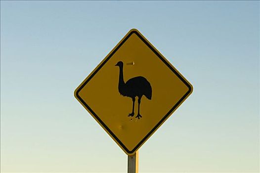 鸸鹋,警告标识,澳大利亚