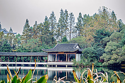杭州西湖浴鹄湾景区秋景