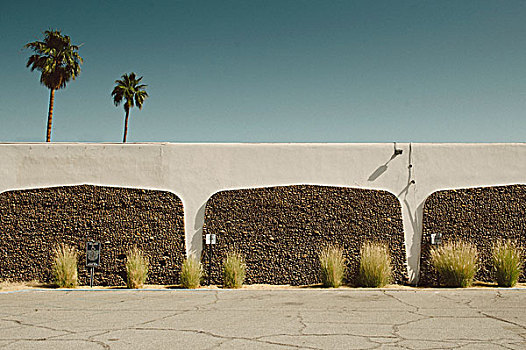 混凝土墙,棕榈树,棕榈泉,加利福尼亚,美国