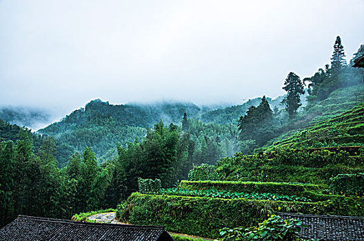 雨雾山景