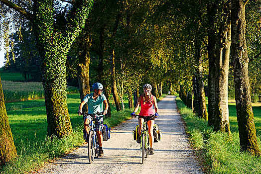 骑车,湖,基姆湖,自行车道,靠近,齐姆高,上巴伐利亚,巴伐利亚,德国,欧洲