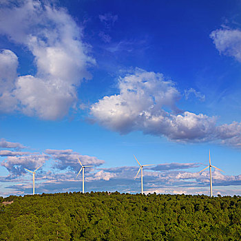 风力发电机,风车,绿色,电能,松树,山,蓝天