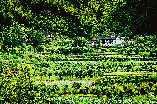 美丽山景