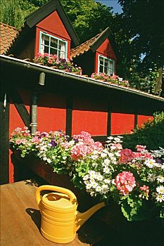 花,正面,餐馆,蒂沃利公园,哥本哈根,丹麦