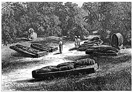 陵墓,中心,印度,1875年