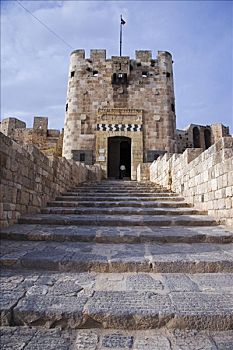城堡,阿勒颇,要塞,场所,残留,今日,马穆鲁克,世纪