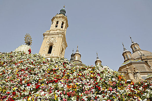 花,大教堂,阿拉贡,萨拉戈萨,西班牙