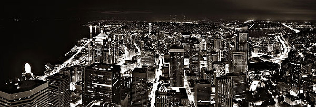 西雅图,屋顶,全景,风景,城市,建筑,夜晚