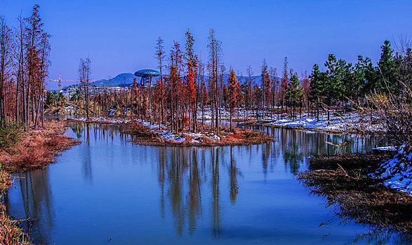 西溪湿地