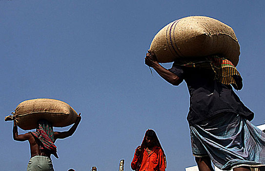 男人,卸载,袋,满,小麦,船,港口,孟加拉,二月,2009年