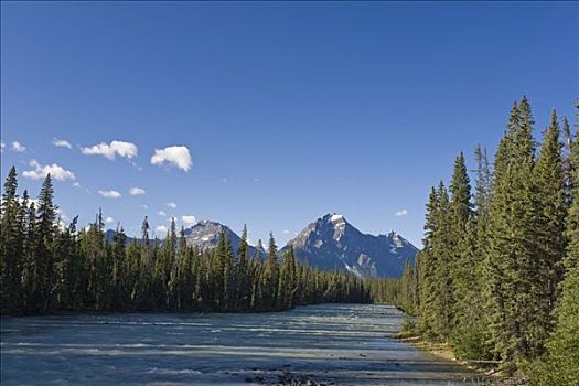 漩涡,顶峰,山,河,碧玉国家公园,艾伯塔省,加拿大