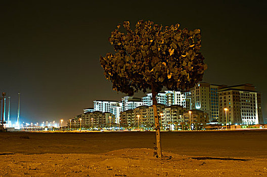 树,城市