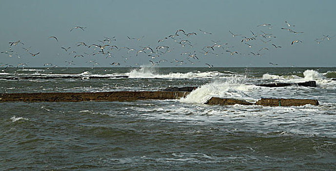 海滨风景