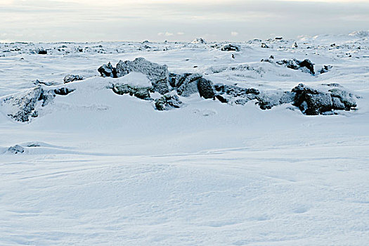 火山岩,积雪,雷克雅奈斯,半岛,冰岛