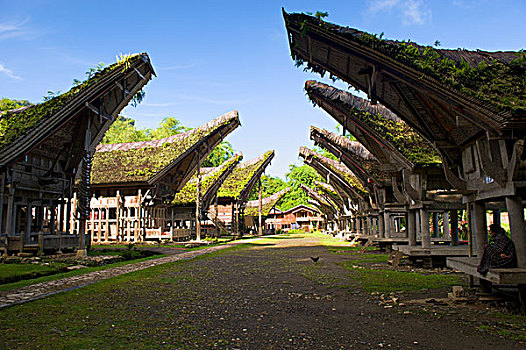 乡村,传统,房子,靠近,苏拉威西岛,印度尼西亚,东南亚