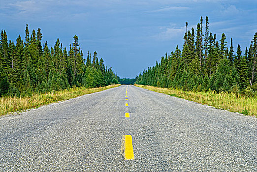 看,北方,公路,北方针叶林,靠近,安大略省,加拿大