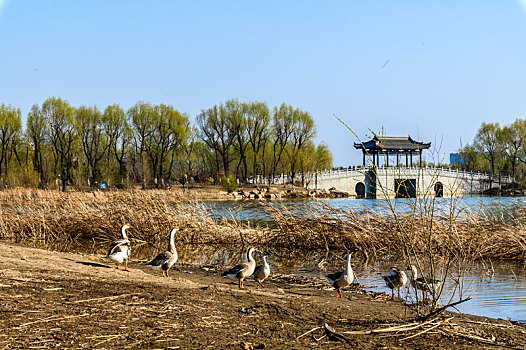 中国长春北湖国家湿地公园