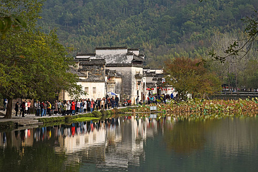 皖南,安徽省,黄山市,黟县,村镇,宏村