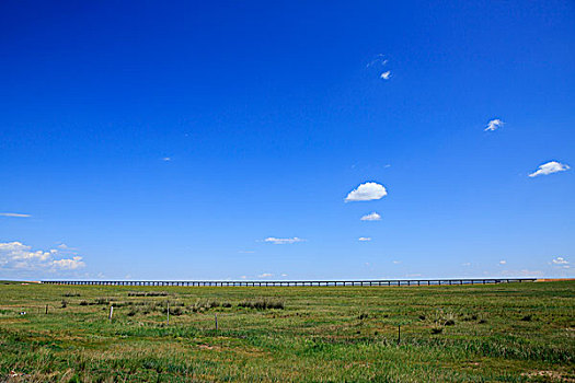 内蒙古牧场,羊群